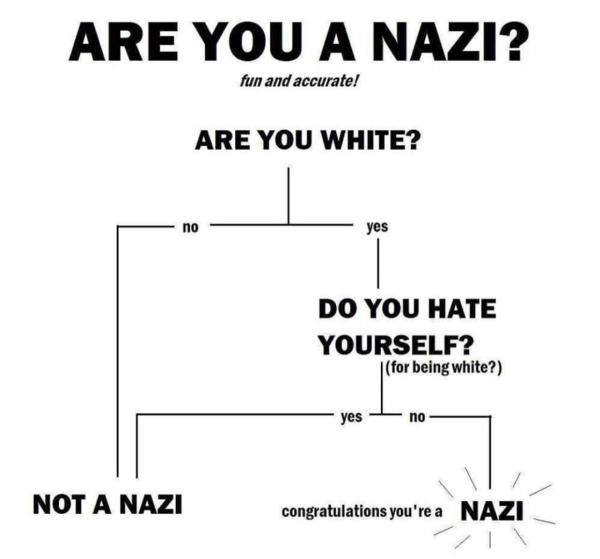 areyouanazi.jpeg