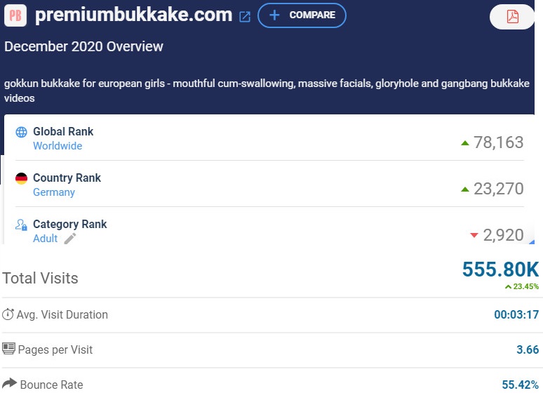 site stats.jpg