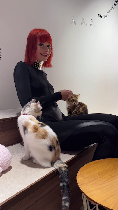 Dolly with kittens.jpg
