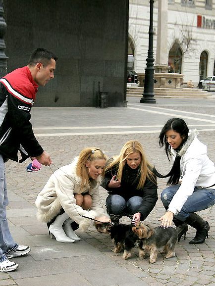 Hungarian Pornies-Jessica Girl-Tira-Kyra.png