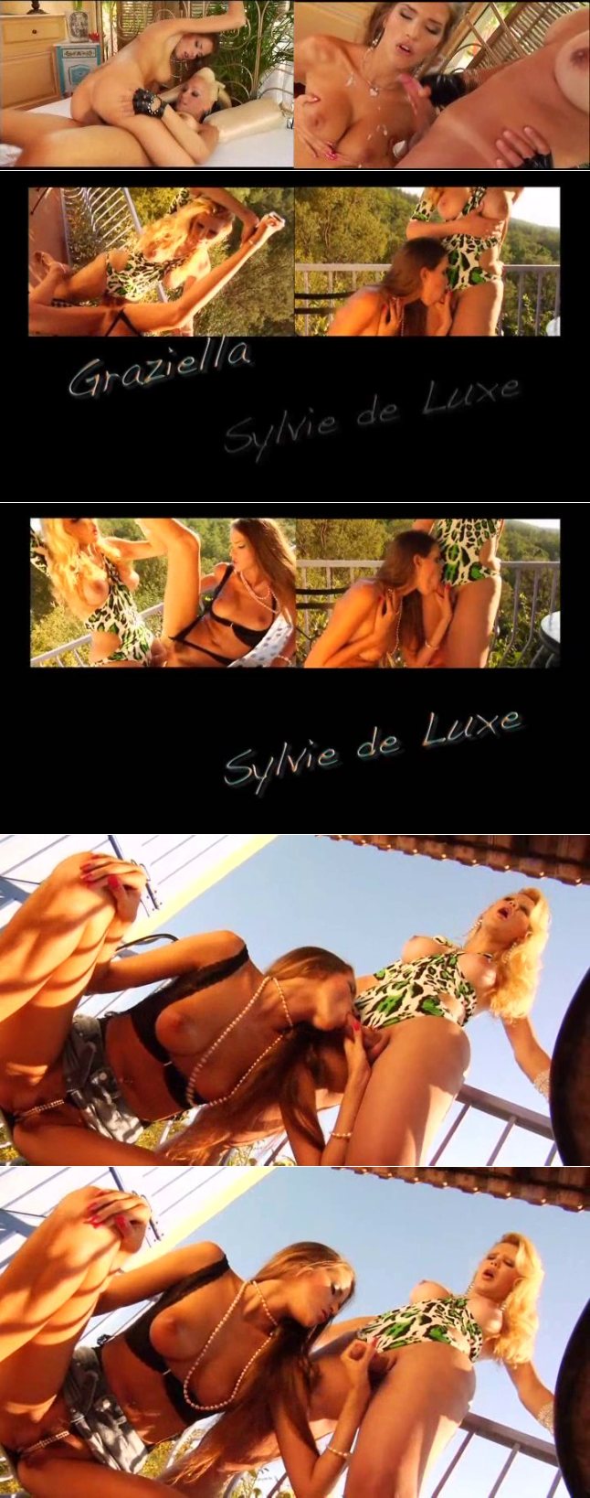 sideluxe.jpg
