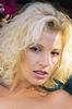 Nicol Taylor